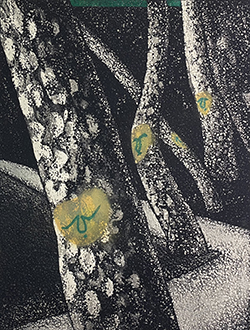 Night Lights for Sycamore Night Life